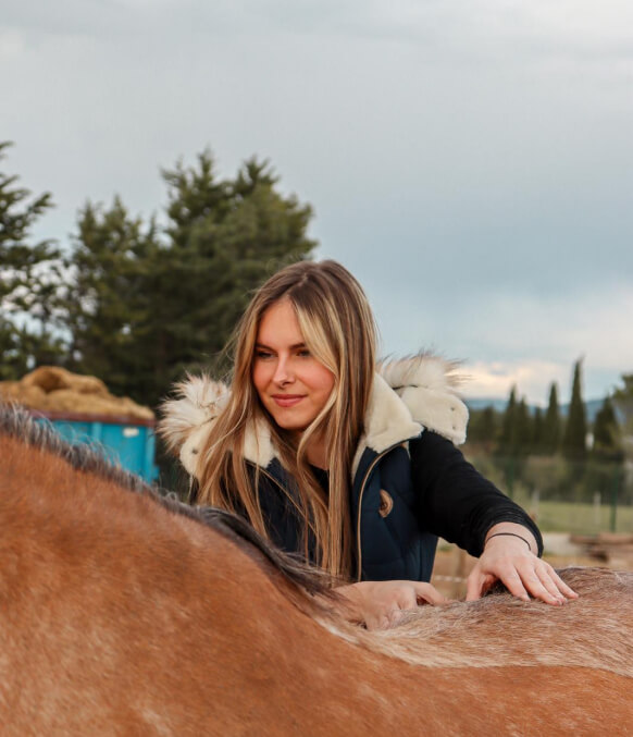 Le massage équin pour préparer votre cheval à un concours