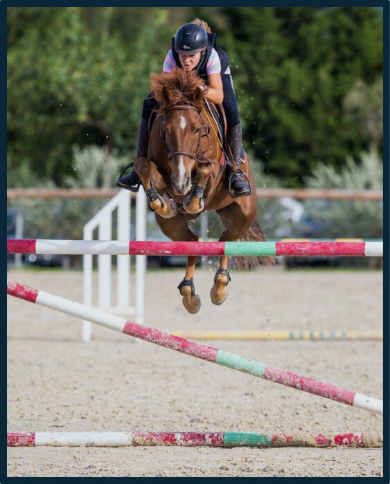 VLPhysioform massage pour booster les performances de votre cheval de sport