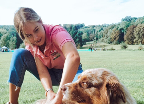 Récupération physique du chien grâce au massage et stretching