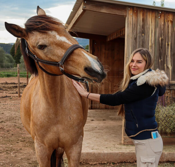 Découvrez les bienfaits du massage équin sur le physique et le mental de votre cheval