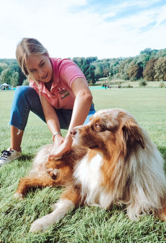 Le massage canin pour soulager votre chien dans le Var